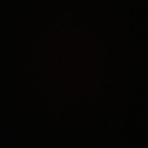 Meet your Posher, Javontae